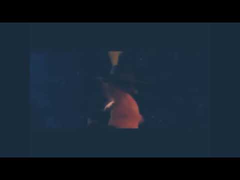 un edit del gato con botas y kitty patitas suaves