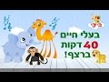 בעלי חיים ועולם החיות מקבץ לפעוטות 40 דקות ברצף