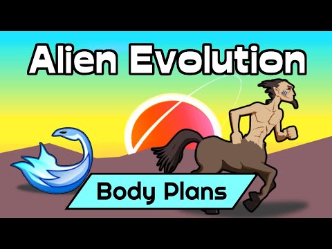 Alien Biosphere Evolution #2: Building Body Plans