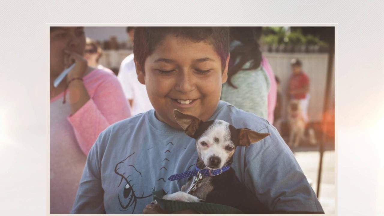 Napa Humane Programs and Services