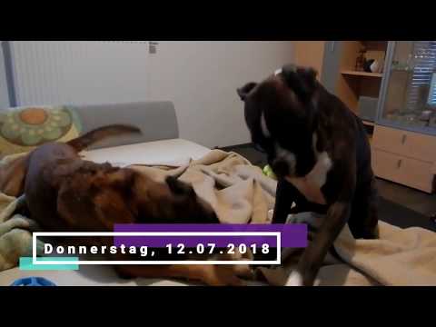 Donnerstag, 12.07.2018 Couch, Deckengespenst(er), Wald