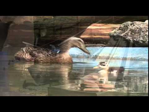 Wirzweli Familienausflugsziel