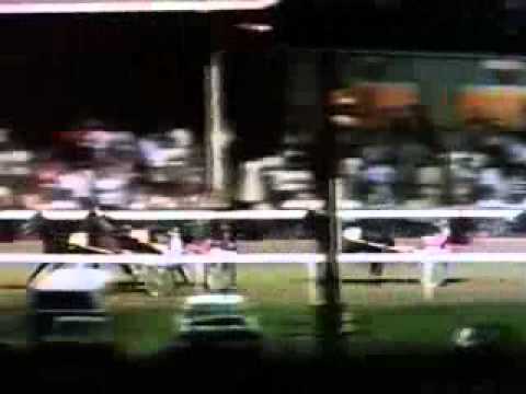 Inter Dominion Trotting Championship 1980 -Hano Direct