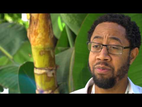 KPN - Customer Success Story (Jerry Caupain - IT Architect)