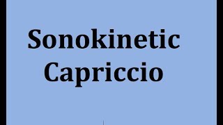 Video thumbnail for Sonokinetic Capriccio - Walkthrough by Bill McFadden