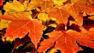 AUTUMN LEAVES ~ The Islanders  1959