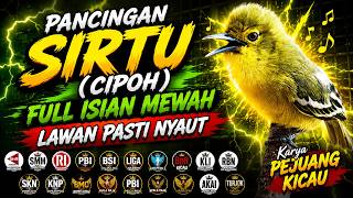 Download lagu Pancingan Sirtu, Full Isian Mewah mp3 Download lagu Pancingan Sirtu, Full Isian Mewah mp3