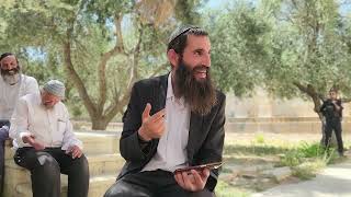 אין לתאר את העוצמה של ההשתחוויה בהר הבית | הרב אלישע וולפסון (ישיבת הר הבית) - התמונה מוצגת ישירות מתוך אתר האינטרנט יוטיוב. זכויות היוצרים בתמונה שייכות ליוצרה. קישור קרדיט למקור התוכן נמצא בתוך דף הסרטון