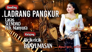 Download lagu LADRANG PANGKUR || Lrs. Slendo ptt. Manyura || RICIK-RICIK BANYUMASAN || SISKA ARUM. mp3