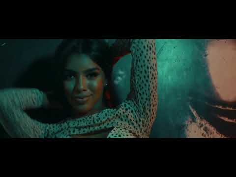 Modo Avión - Greyko Janny Santi Mole Nizze Fulo El Yeyo Giorgi F KoyiMusik Video Oficial