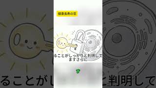 中高年の健康！生活習慣病予防と血管若返り法 #健康習慣 #雑学 #60歳代