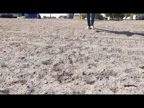 Leonardo, Raphel and Black Widow (Leonardo vs Raphael) superhero battle