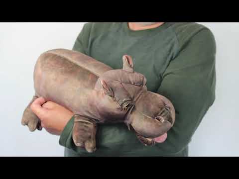 Hippo, Baby Hand Puppet