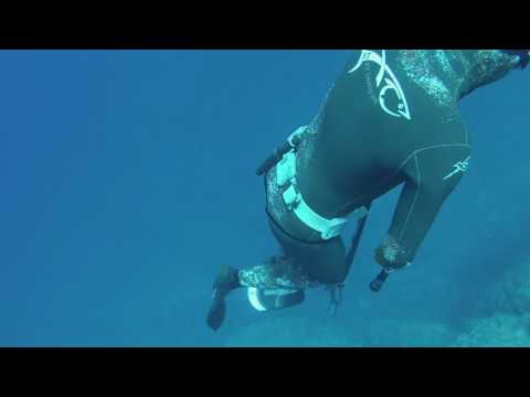 Συντροφικό ψαροντούφεκο