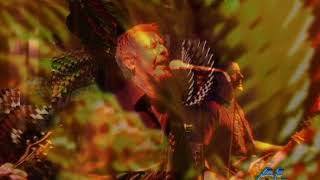 Young Dubliners Live at Mango's Red Cliff, Colorado