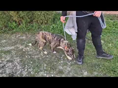 Vídeo de LUCIA