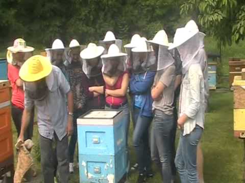 Szkolenie w pasiece mistrza pszczelarskiego Jerzego Koszowskiego