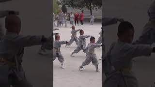 Download lagu latihan Wushu #shorts #kungfu #beladiri #wushu #china mp3 Download lagu latihan Wushu #shorts #kungfu #beladiri #wushu #china mp3