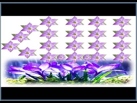 artful safdar|forming isam  Allah with moving flowers in powerpoint|artful safdar