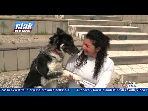 CIAK NEWS 16-04-2025