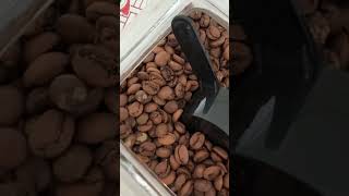 Moedor de café incrível | Hamilton Beach