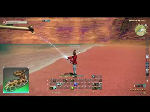 FFXIV No GP Big Fishing [281] Gharlichthys