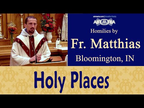 Dedication of the Lateran Basilica - Nov 09 - Homily - Fr Matthias