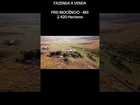 FAZENDA Á VENDA - Frei Inocêncio-MG