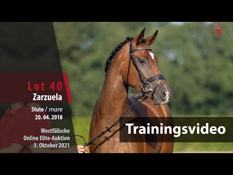 62. Elite-Auktion Training Lot 40 Zarzuela v. Zoom/Lauries Crusador xx