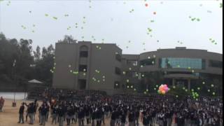 Rich Harvest Public School Video