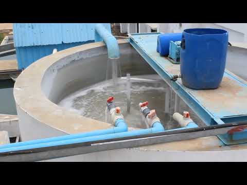 Sewage Treatment Plant