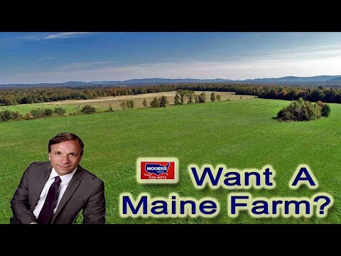 Maine Farm Property | Pasture Fields Woods