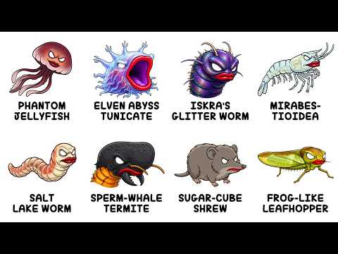 10 Animals We Didn't Know Existed Until 2026