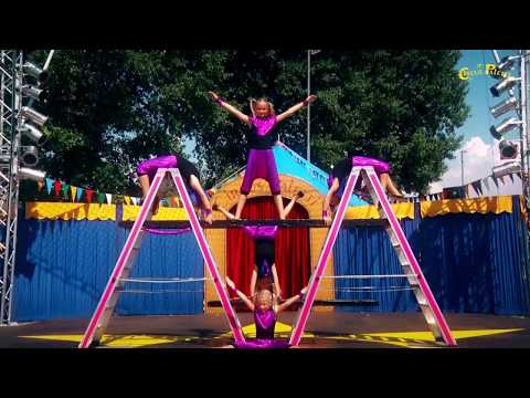 Trailer Zirkus Paletti