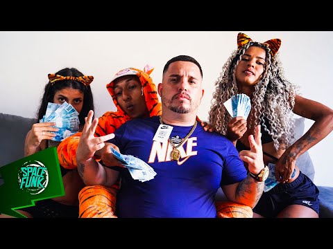 MC Itanhaém - Tigrinho Malvadão (Rony noBeat) Space Funk