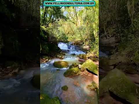 55 HECTARES DE BELEZAS NATURAIS MAGNÍFICAS ENTRE ROLANTE E RIOZINHO RS