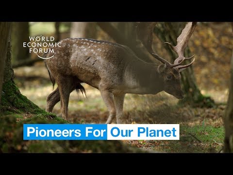 This farm in England is run by its animals | Pioneers for Our Planet