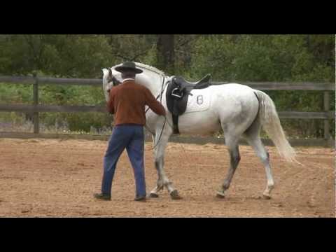 Advanced work in hand with Francisco de Braganca