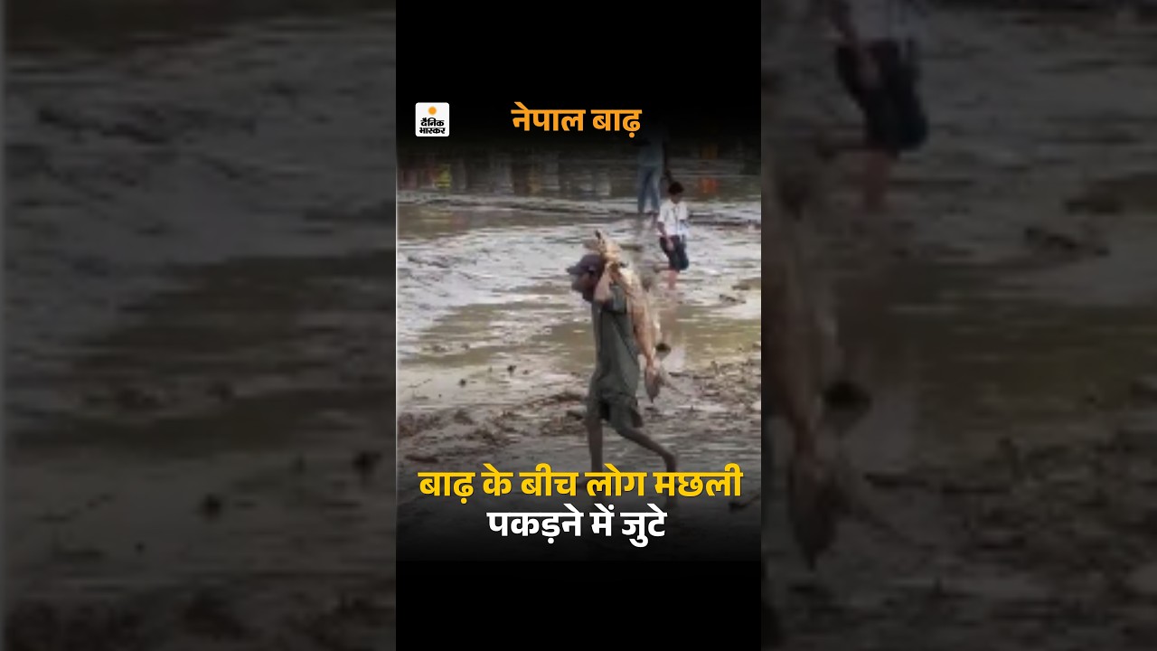 Nepal Tibet Border Flood: बाढ़ के बीच कुछ लोग मछली पकड़ने में जुटे | Nepal Flood Video