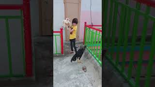 Download lagu Heera or Mushka Sawa mp3