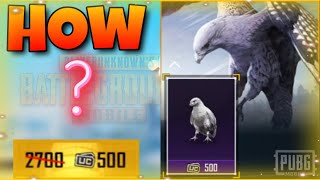 How Can We Get Falcon in 500 UC in Pubg Mobile | Full Explain Video |Guide
