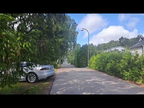 View from our tour to Ursvik,Sweden.