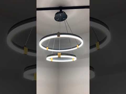 Миниатюра изображения товара Потолочный светильник Aitin-Pro D6043/2 (черный/золото)