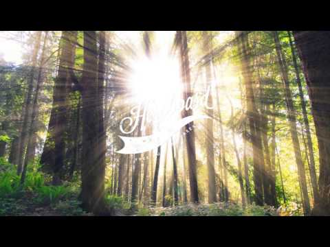 [Future Bass] WVLF  - The Collapse