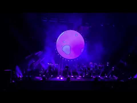 Brit Floyd - Pigs (Three Different Ones)