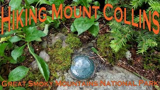 Hiking Mount Collins - Great Smoky Mountains National Park