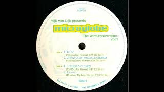 Mijk Van Dijk Presents Microglobe - Environ-Mentality (Act 3) (Cal-Q-Lator Remix) 1995