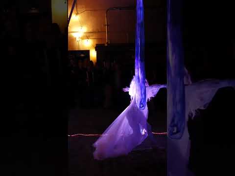 Promotional video thumbnail 2 for Poisnivy Circus