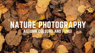 NATURE PHOTOGRAPHY | Photographing Autumn Colours and Fungi