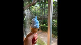 2022.08.37 見土呂フルーツパーク #shorts